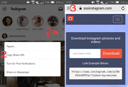 instagram video download online from private account